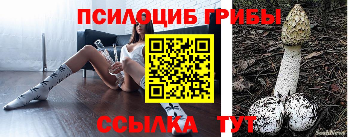 Псилоцибиновые грибы MAGIC MUSHROOMS  купить наркотик  Вход с VPN  Сафоново  Галлюциногенные грибы Psilocybe 