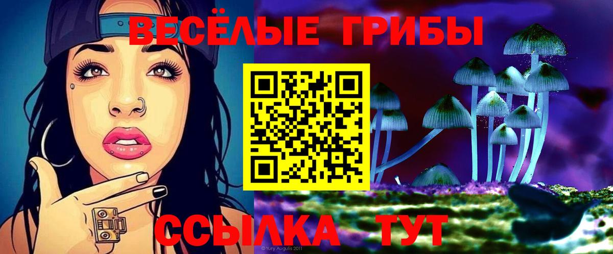 Галлюциногенные грибы Magic Shrooms Сафоново